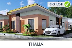 Thalia - 3BR House for Sale in Digos, Davao Del Sur